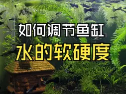 下载视频: 如何调节鱼缸水的软硬度