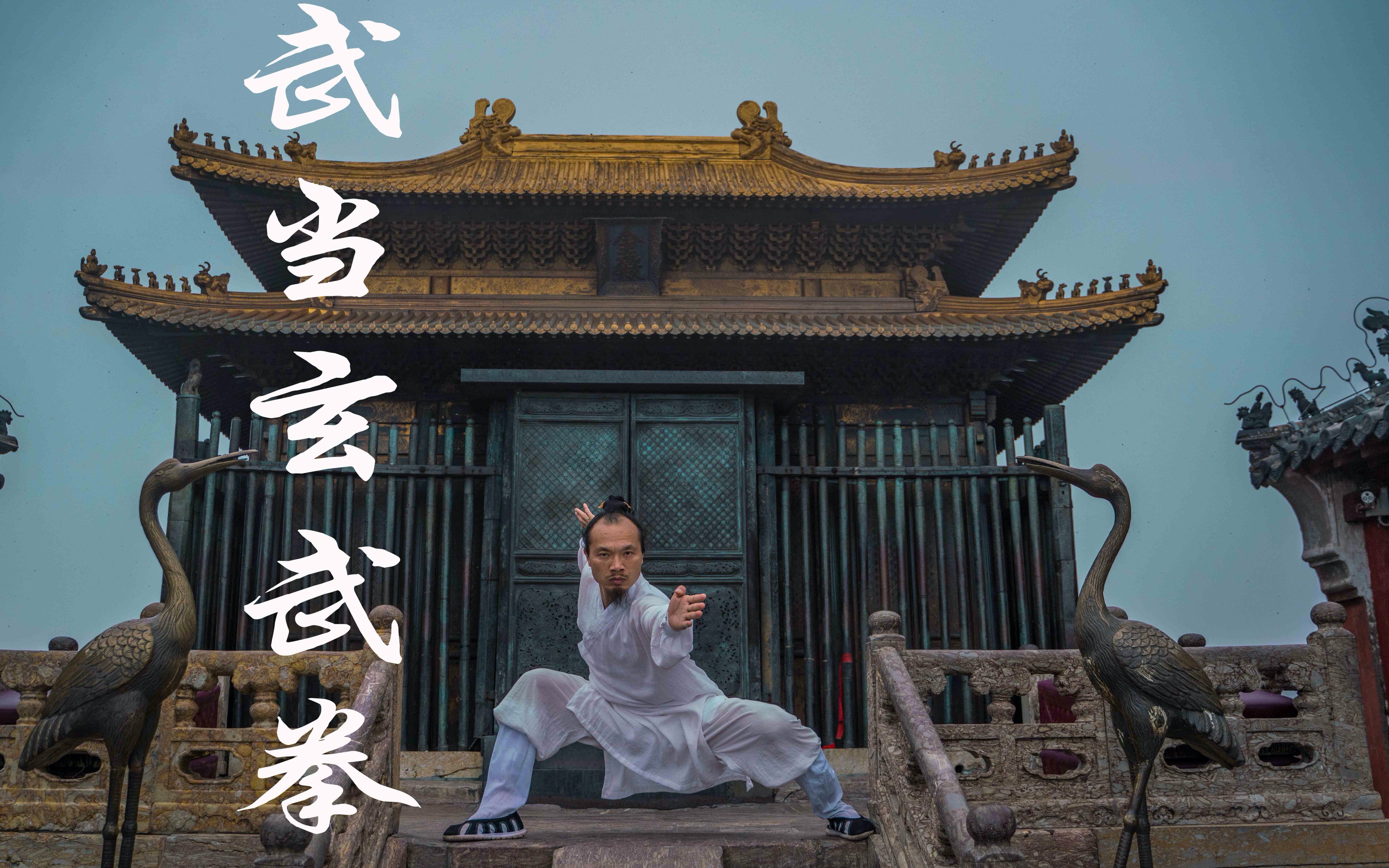 武当蒋师清你们觉得这套玄武拳有东西吗