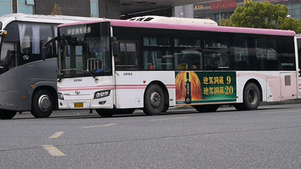 上海公交青安线图片