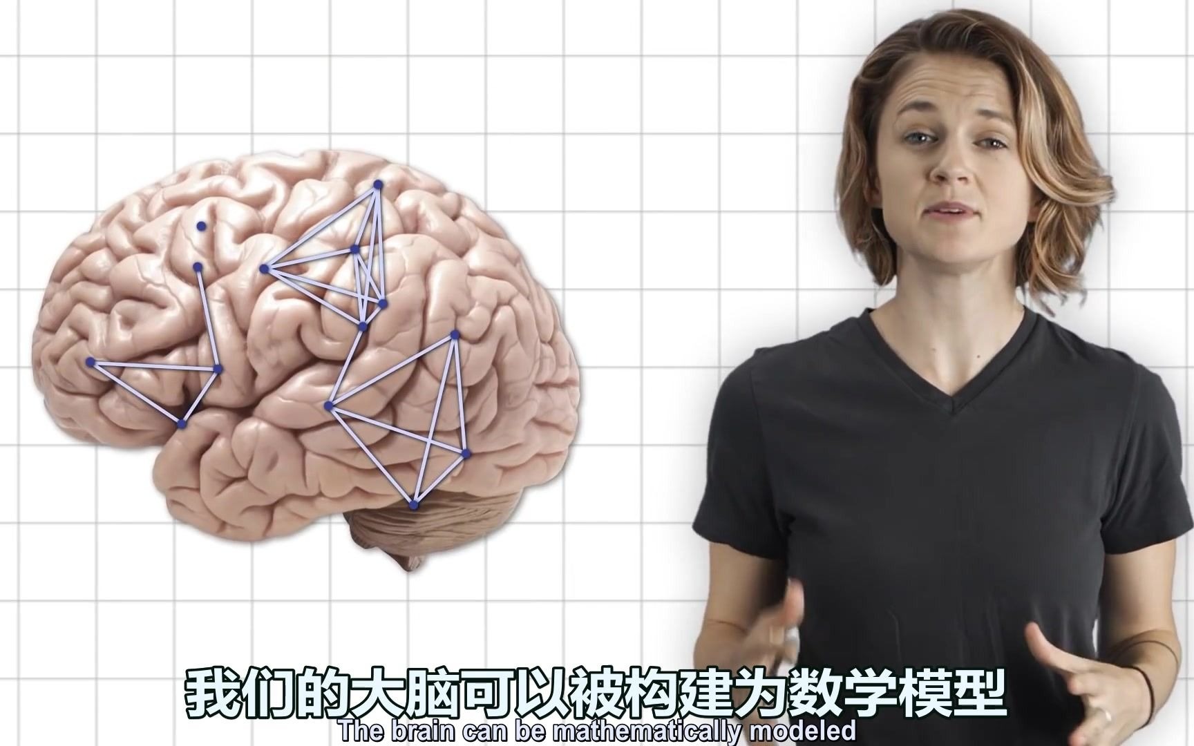 大脑与数学第三部:从数学模型分析对重构大脑的刺激哔哩哔哩bilibili