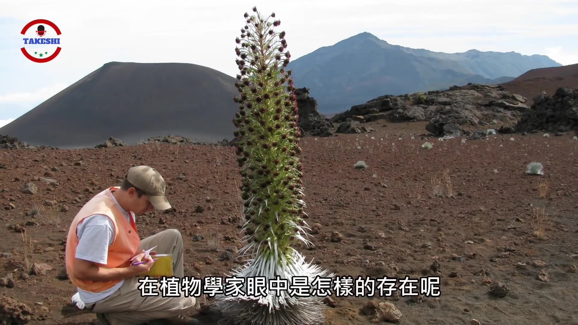 [图]TOP数个活在异界的巨大外星植物年只开一次花的生命之花深山里穿毛衣的巨大怪物