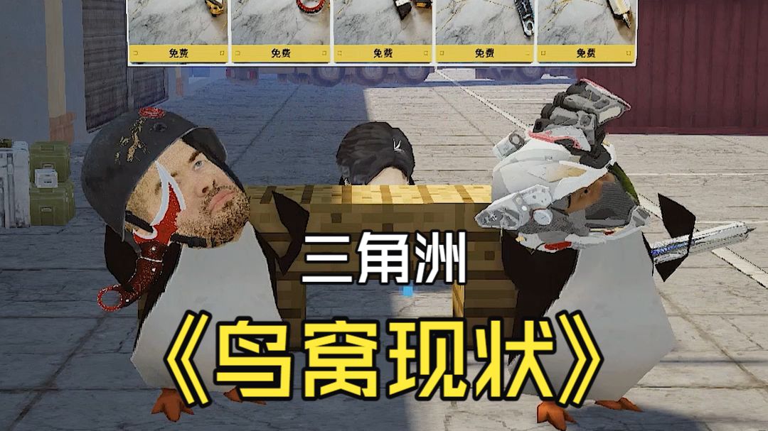 《三角洲鸟窝现状》