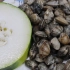胶东大厨分享“冬瓜蛤汤”的做法，详细易学美味，果断收藏了