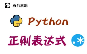 Download Video: Python编程：正则表达式