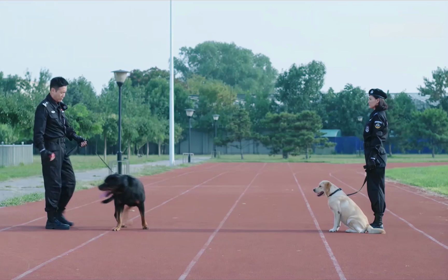 (重发)《警花与警犬》【杜飞*李姝寒】—《寥寥几载红颜》哔哩哔哩bilibili