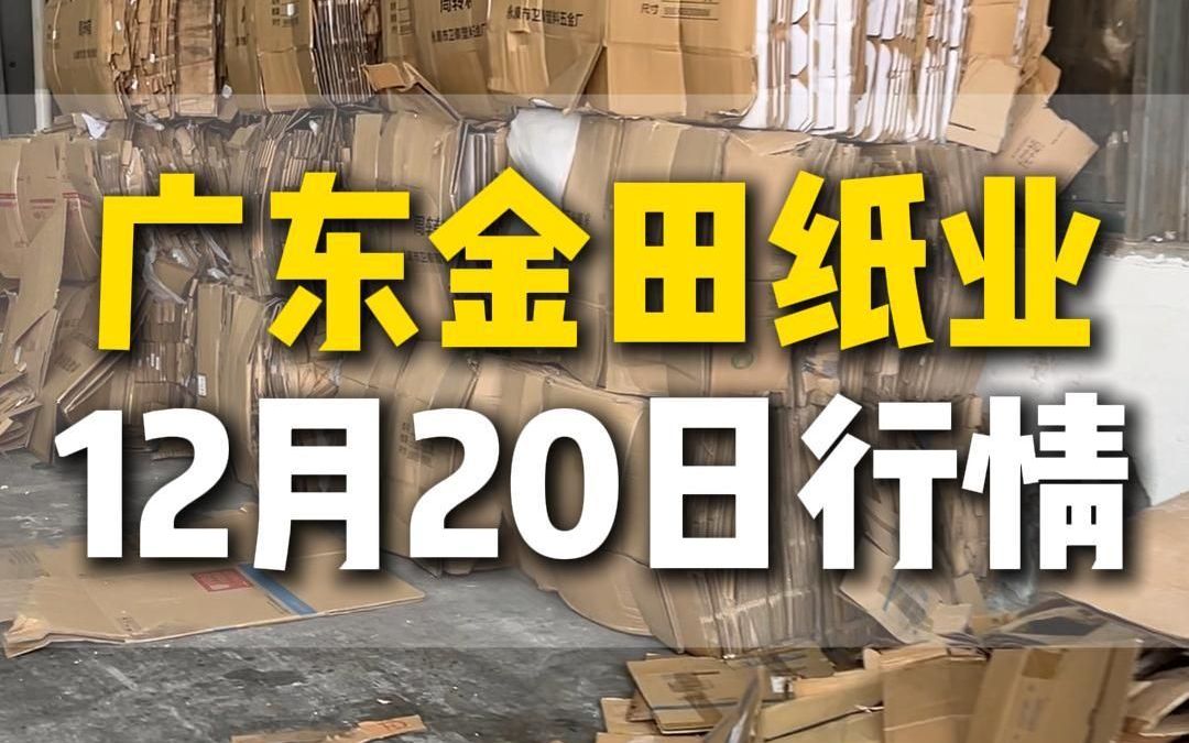 12月20日广东东莞金田纸业今日行情参考哔哩哔哩bilibili