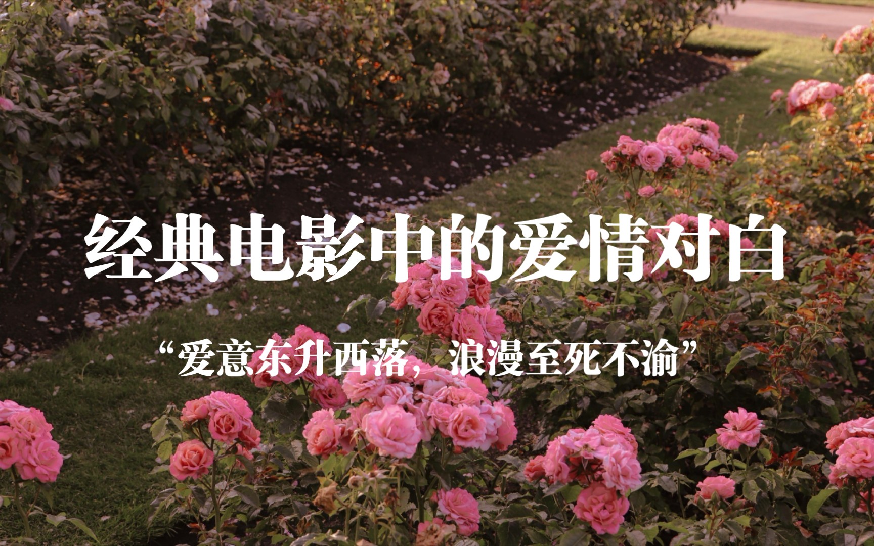 爱上你是我唯一的秘密