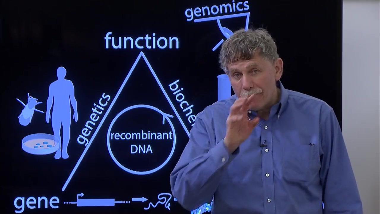 (全集/外挂英字)MIT生物课程Biology The Secret of Life生命的秘密(第三部分基因组&疾病,共三部分)(完结)哔哩哔哩bilibili