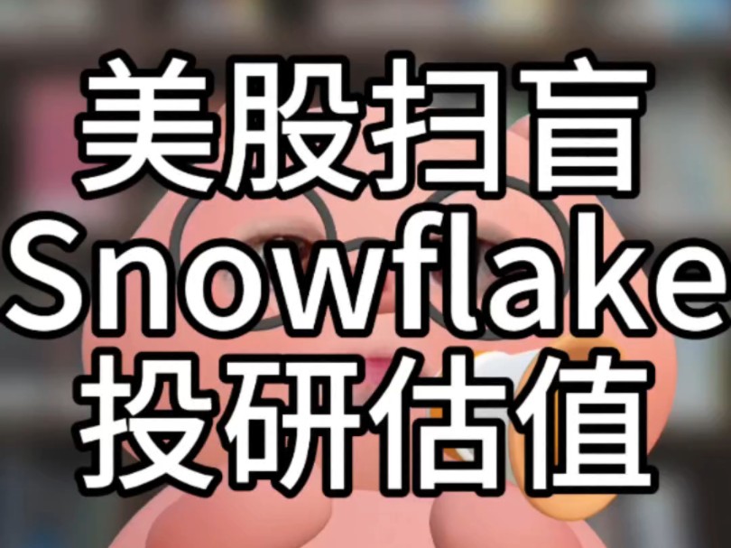 美股扫盲雪花公司 Snowflake哔哩哔哩bilibili