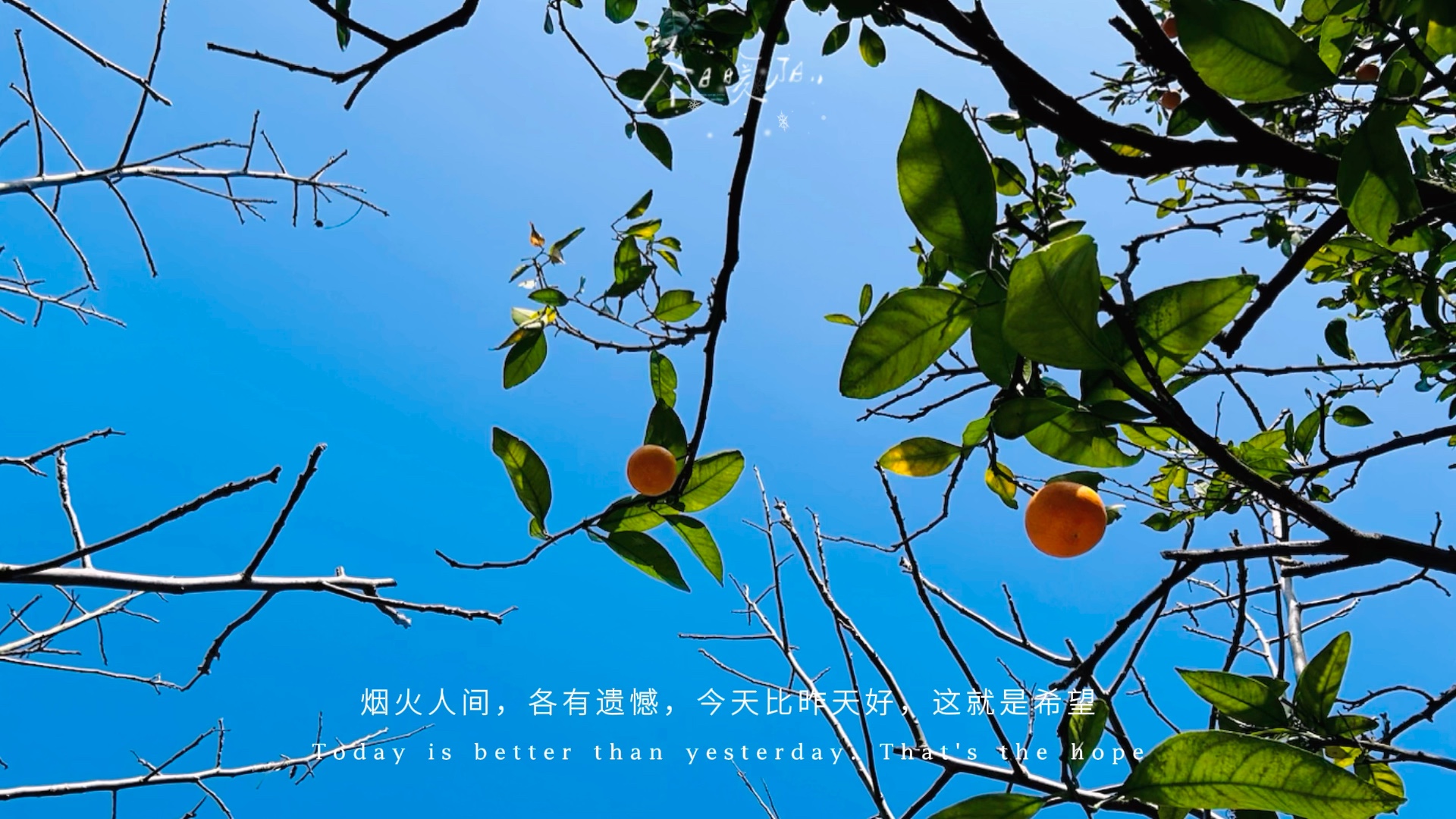 "烟火人间,各有遗憾,今天比昨天好,这就是希望…"