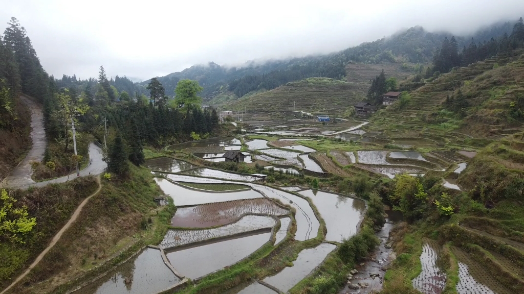 [图]航拍大苗山梯田差点碰到电线…