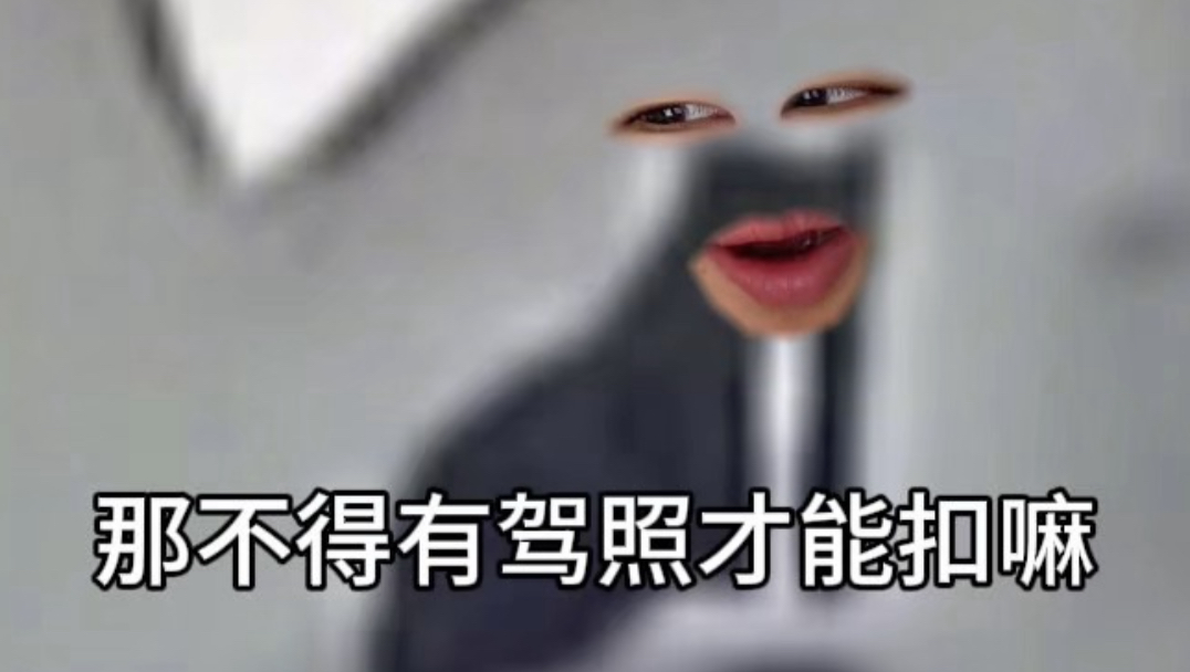 《你咋开的车》