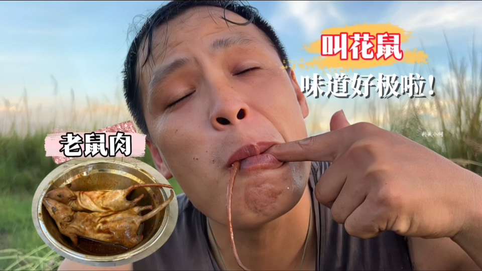 小伙用泥土包住老鼠放火里烤,烤出来的鼠肉鲜嫩光滑,味道好极啦哔哩哔哩bilibili