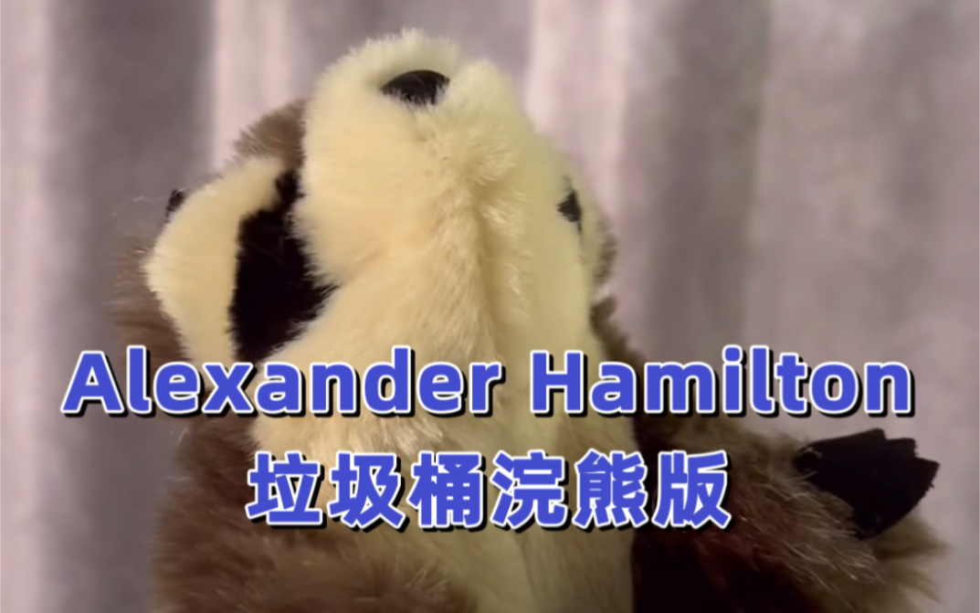 【预告】汉密尔顿 Alexander Hamilton 但是垃圾桶浣熊哔哩哔哩bilibili