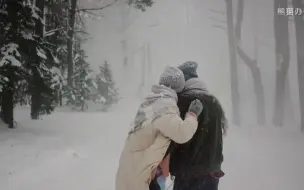 Скачать видео: 一对情侣牵着狗相拥走在下雪的树林里实拍视频素材