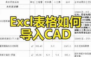 Download Video: Excel表格如何导入CAD