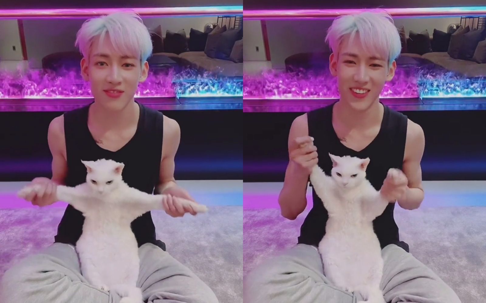 【BamBam】布丁也加入了riBBon挑战!太可爱了!210619 布丁riBBon挑战 Pudding join the ...