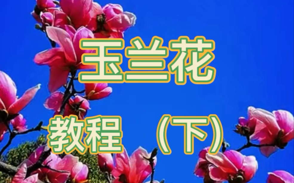 [图]【国画系列】玉兰花画法教程(下)