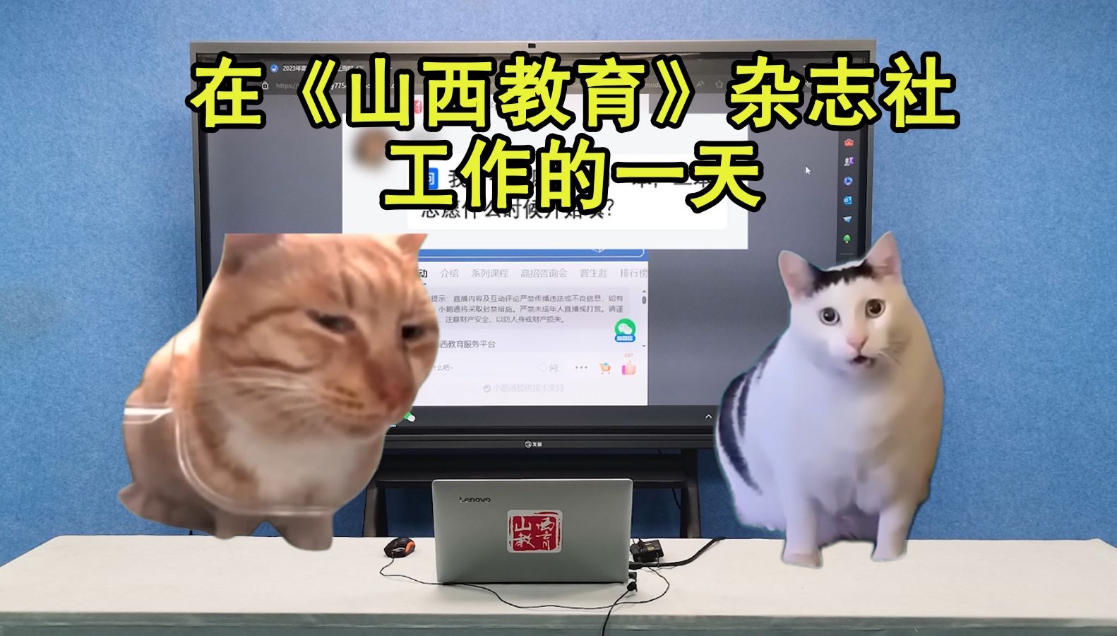 【猫meme】在《山西教育》杂志社工作的一天哔哩哔哩bilibili