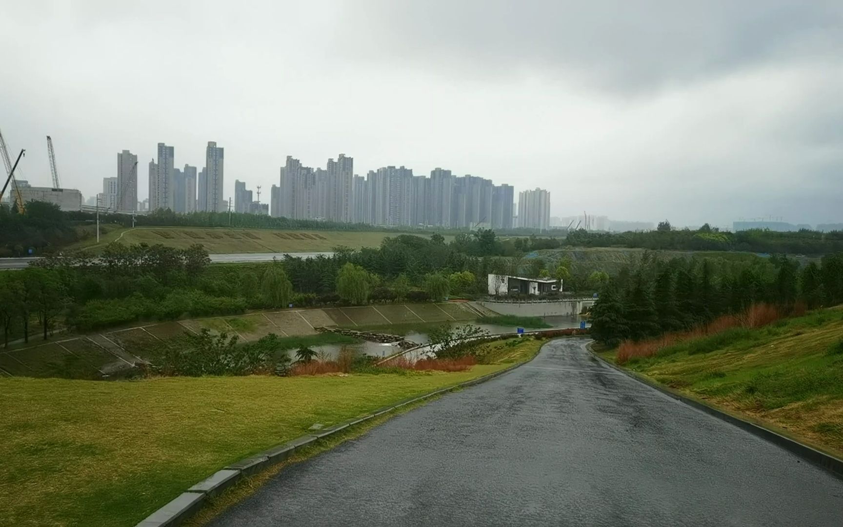 郑州中雨,漫步贾鲁河畔,聆听雨声,鸟语花香,郑州春天风景如画哔哩哔哩bilibili