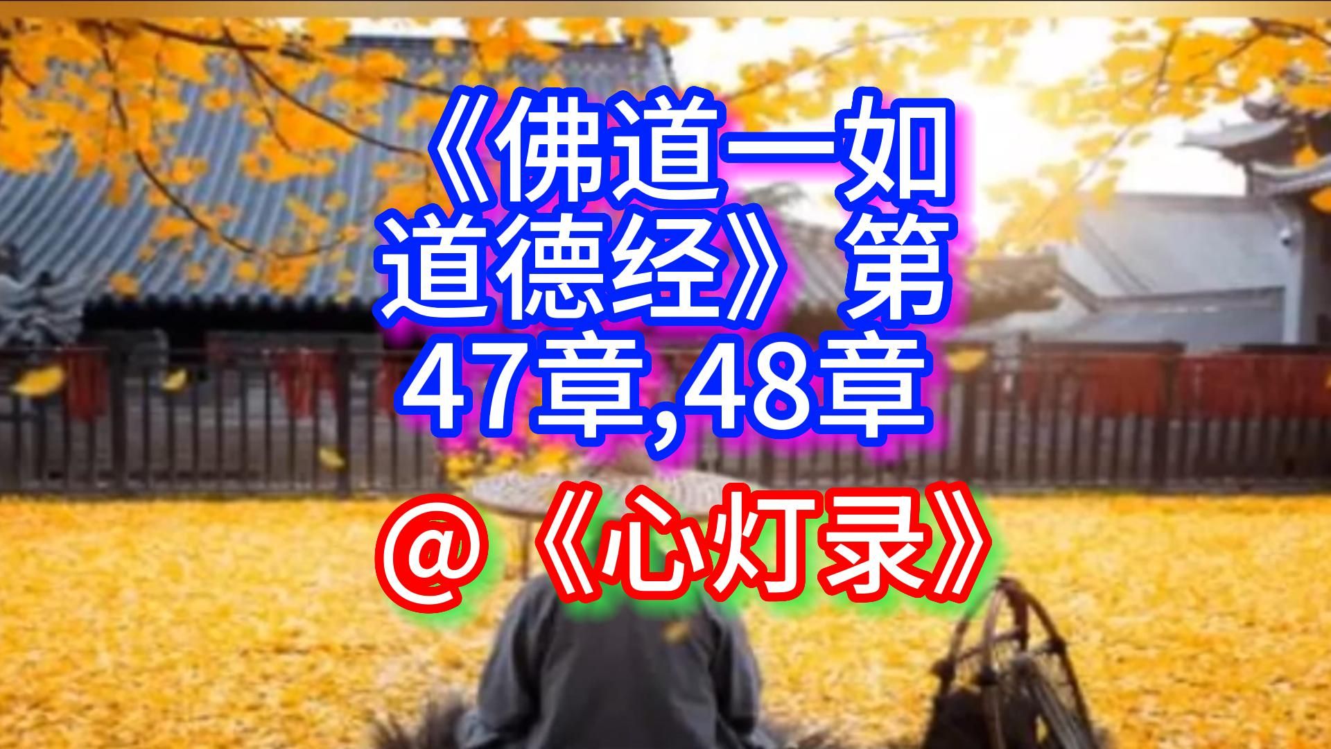 《佛道一如道德经》第47,48章@《心灯录》哔哩哔哩bilibili