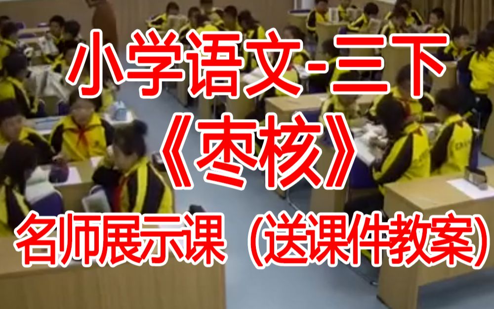 三下:《枣核》全国赛课获奖课例 部编版小学语文三年级下册 (有课件教案 ) 公开课获奖课哔哩哔哩bilibili