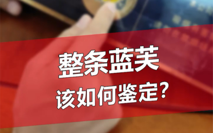 整条蓝芙蓉王该如何辨别真假?快看看自己家里的#真假辨别哔哩哔哩bilibili