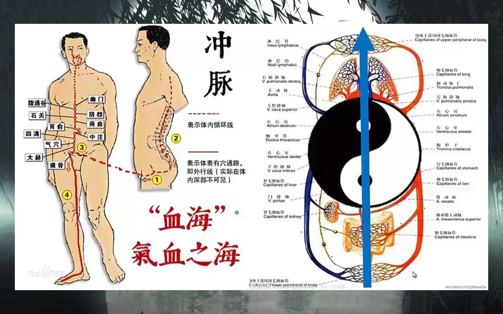 [图]文始道强调修炼方法的传承 和道法的实修证悟