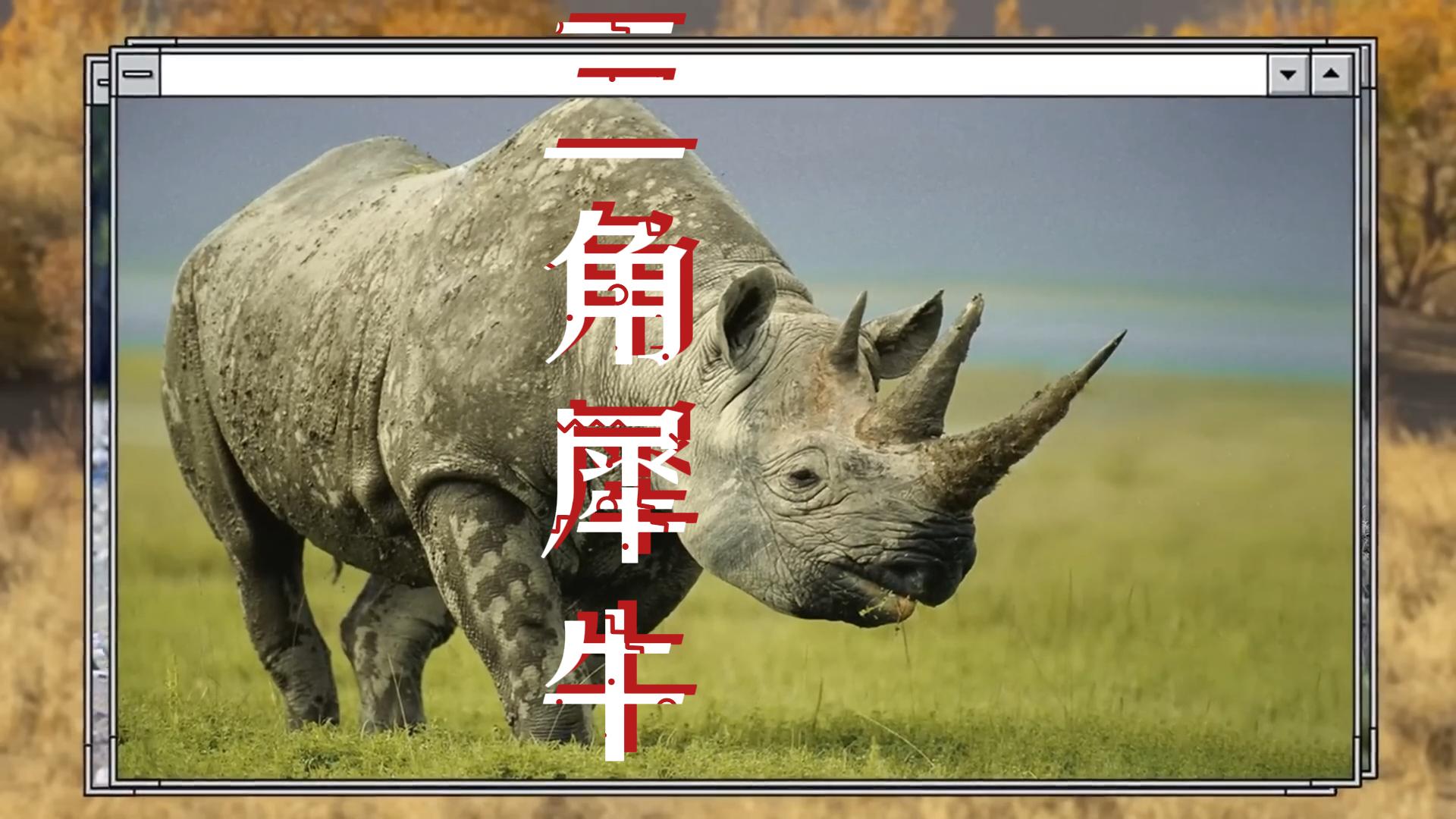 三角形具有稳定性,所以三角犀牛比两角犀牛强对吗