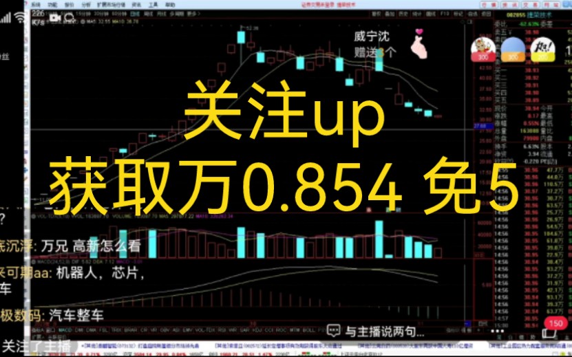 淘股吧直播2023.11.4万狮虎哔哩哔哩bilibili