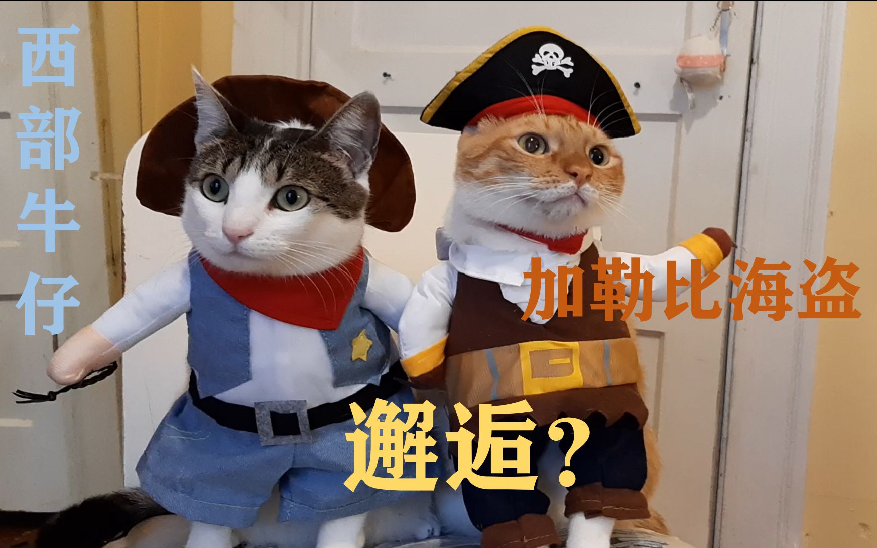 [图]【猫咪姐弟VLOG】猫咪时装秀|西部牛仔和加勒比海盗的邂逅