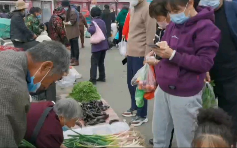 东北当地小县城终于解封了,跟美女逛市场,发现罕见的岛子鱼哔哩哔哩bilibili