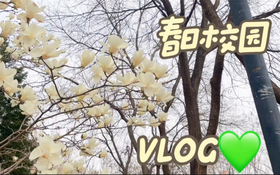 Vlog|CUEB大学生的春日生活|学习+逛夜市+看电影|后面有彩蛋!哔哩哔哩bilibili