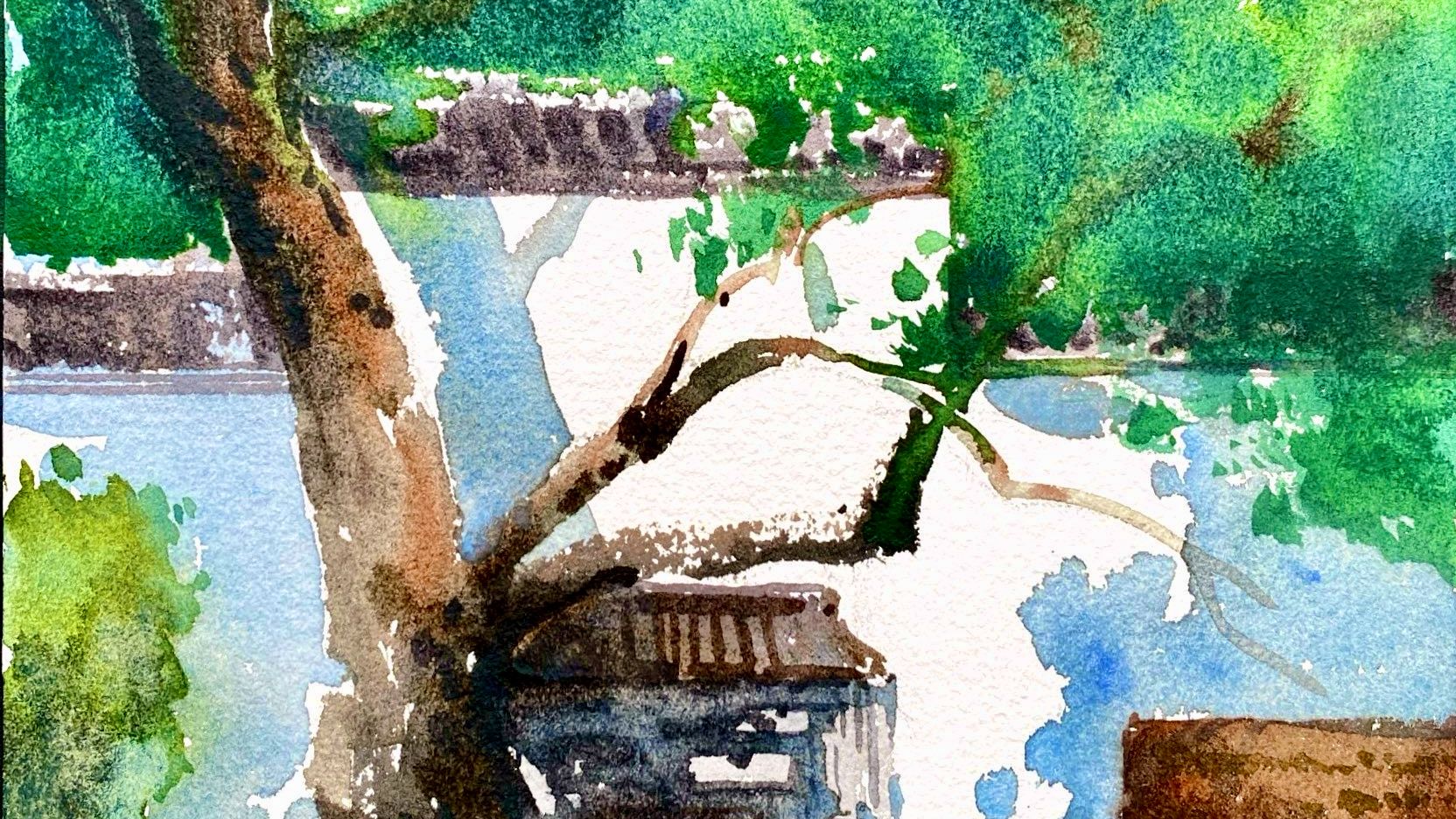 墙外有树 水彩风景速写77