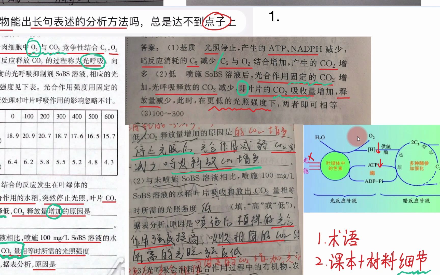 2023.3.14生物大题如何表述快速准确,一分都不扣?哔哩哔哩bilibili