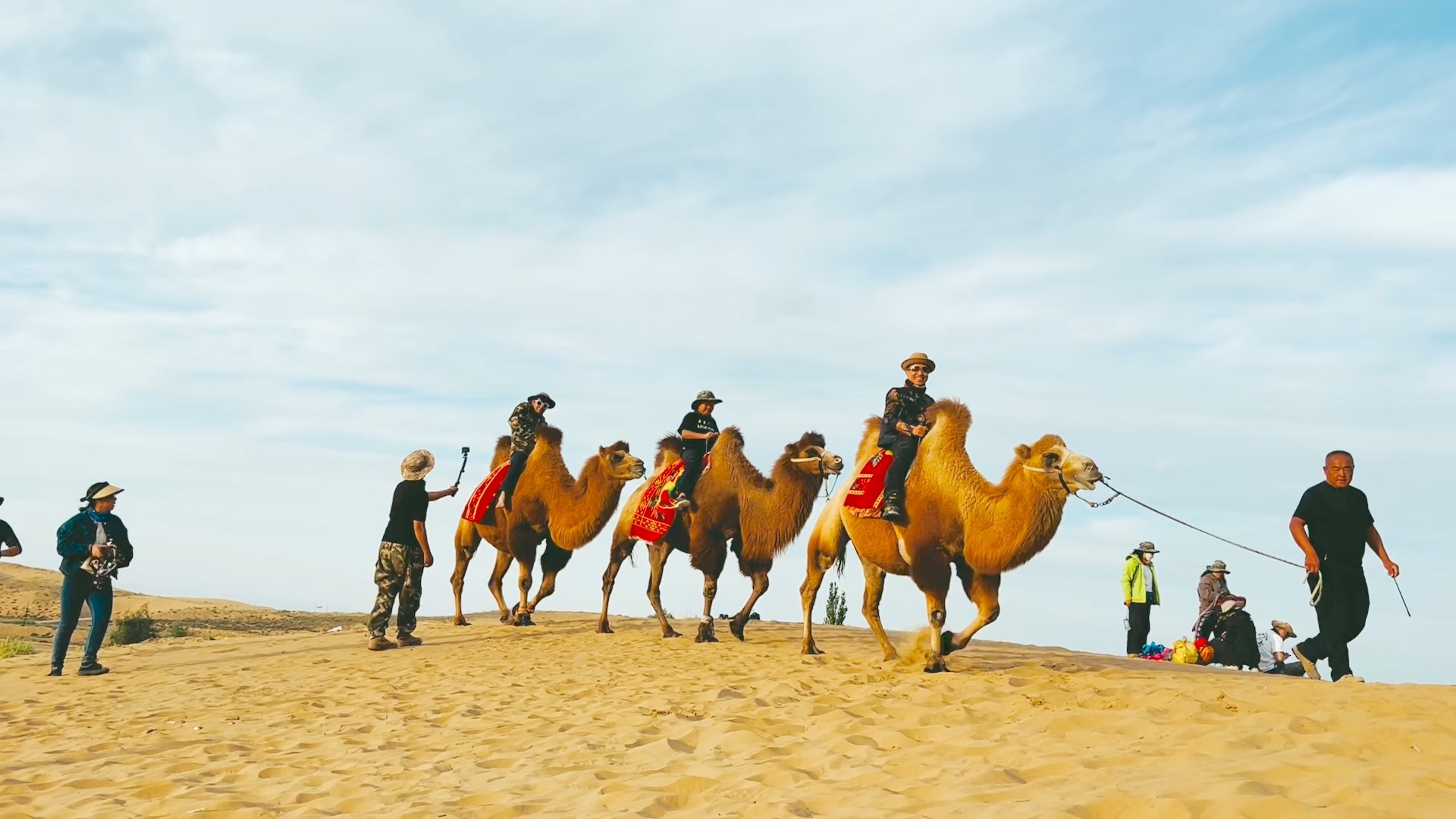 卡丁车玩累了?骑骆驼放松一下