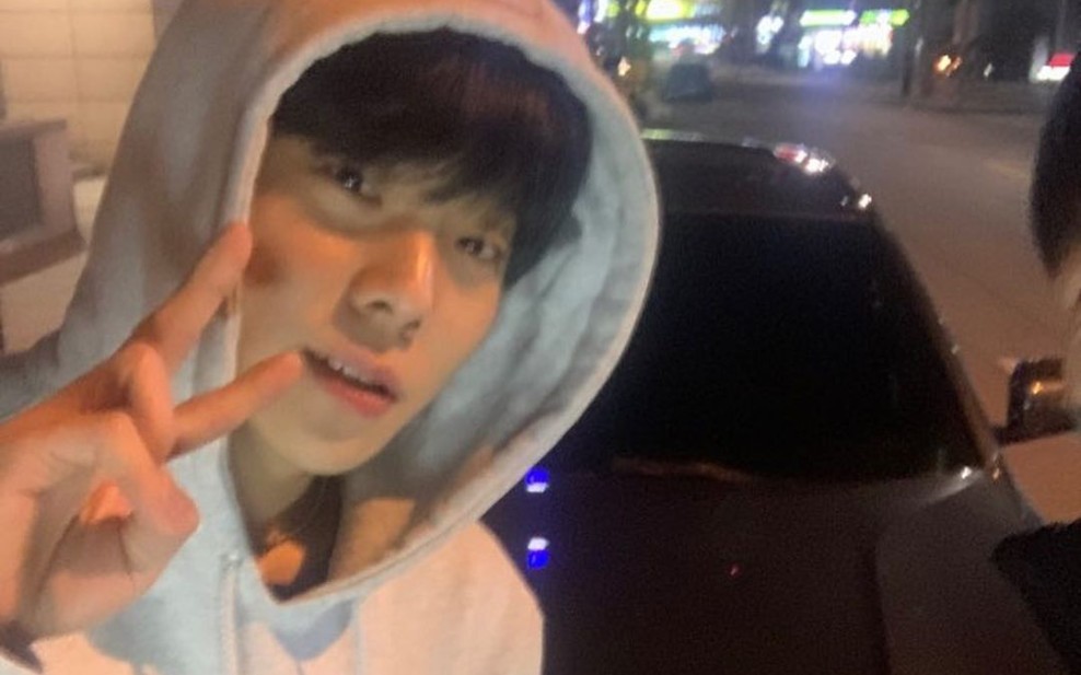 【TOIL｜安土日C8集】众所周知toto是个有礼貌的孩子_哔哩哔哩_bilibili