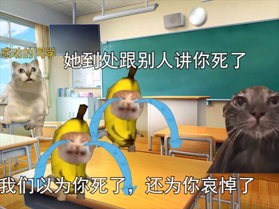 [图]【猫meme】同学目睹我出车祸到处跟别人说我死了这件事