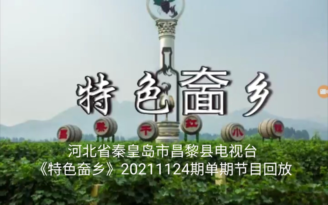 河北省秦皇岛市昌黎县电视台《特色奤乡》20211124期单期节目回放哔哩哔哩bilibili