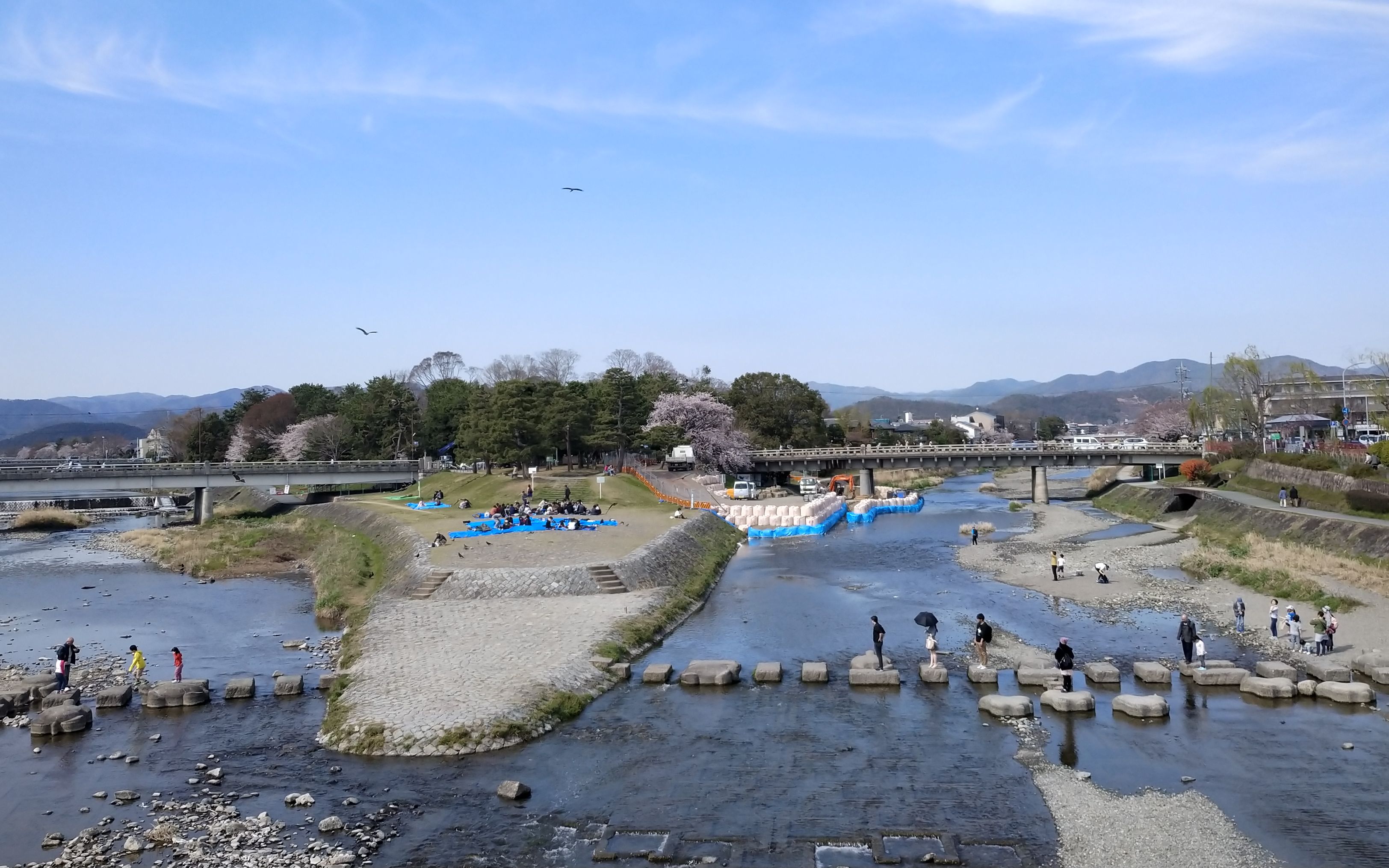 鸭川三角洲鸭川delta跳乌龟_哔哩哔哩 (゜-゜)つロ 干杯~-bilibili