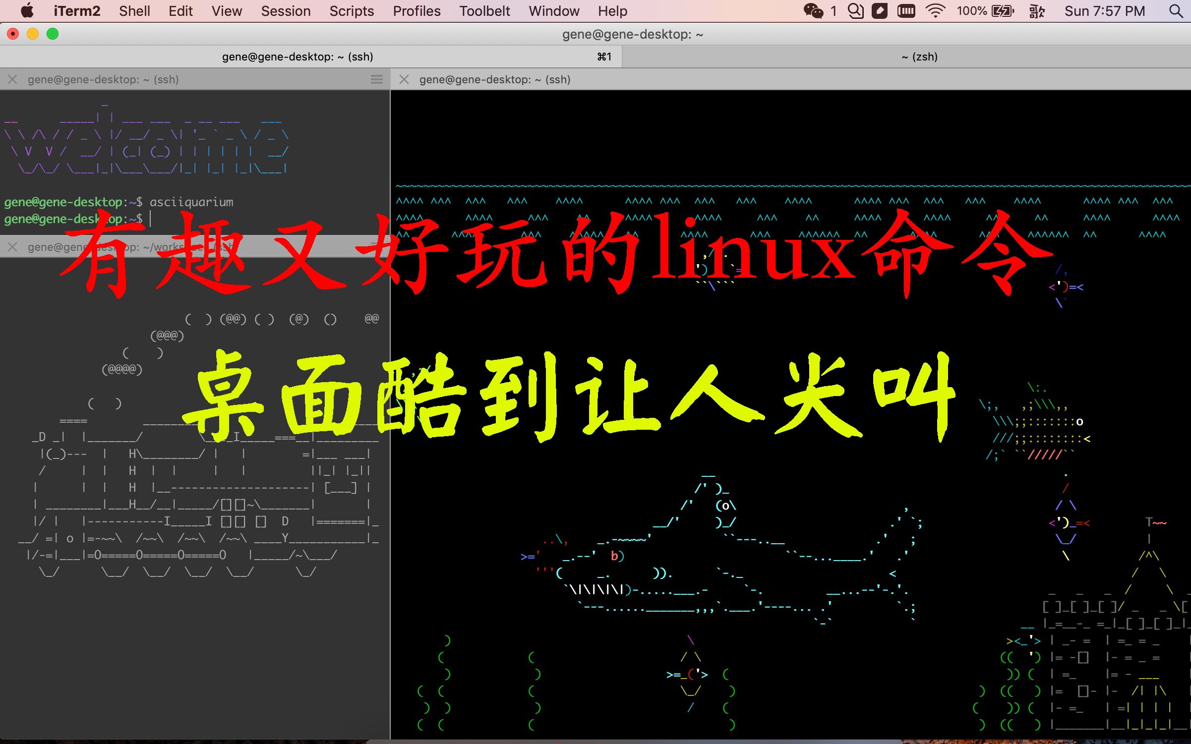 有趣又好玩的linux命令, 桌面酷到让人尖叫哔哩哔哩bilibili