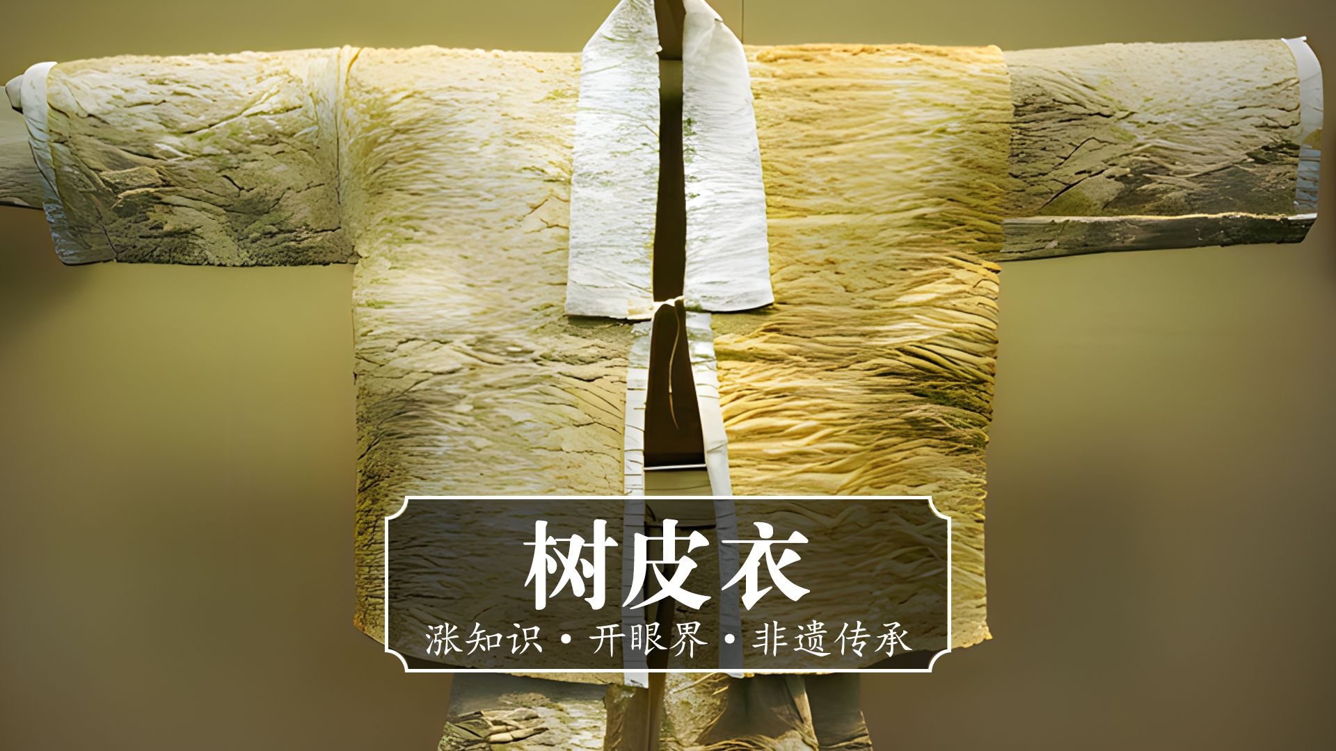 用见血封喉树的树皮做衣服?是黎族延续千年的传统手艺