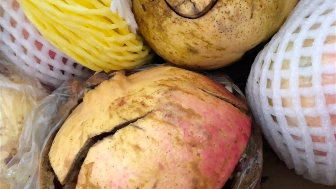 现在买石榴坏的多