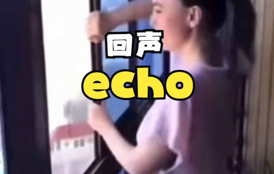 【英语四六级】echo 回声哔哩哔哩bilibili