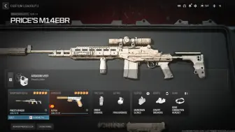 下载视频: 还原剧情中普莱斯的M14EBR【COD20硬核模式】