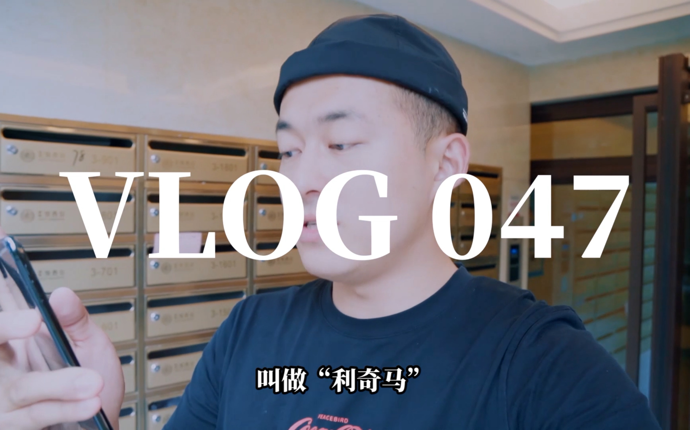 老张与叮叮 VLOG047 “台风里的小家”哔哩哔哩bilibili