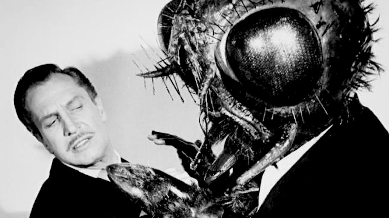 变蝇人 the fly