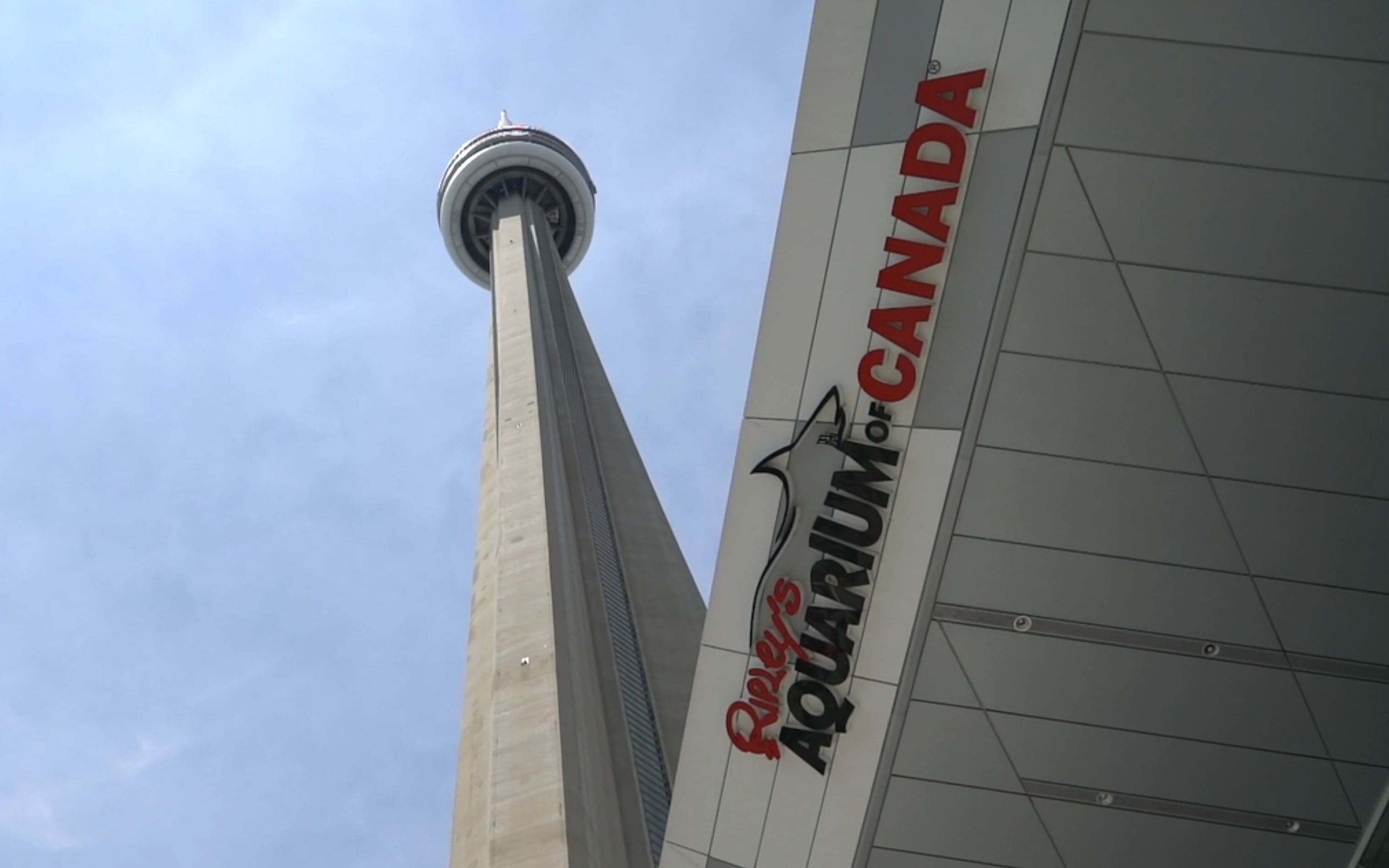 [图]A trip to Ripley's Aquarium of Canada and CN Tower