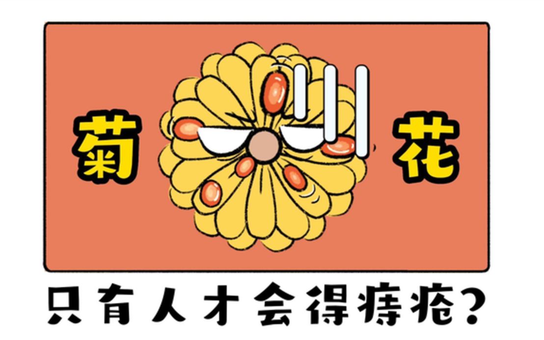 引起痔疮的元凶是什么?教你正确预防菊花残,满腚伤!