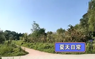 夏日风景